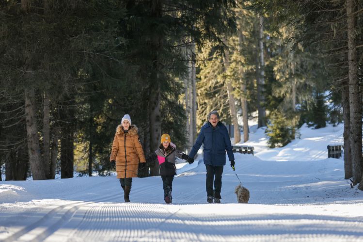 bringe handlingen Rullesten Parat Skiurlaub mit Hund | Gurgl | gurgl.com