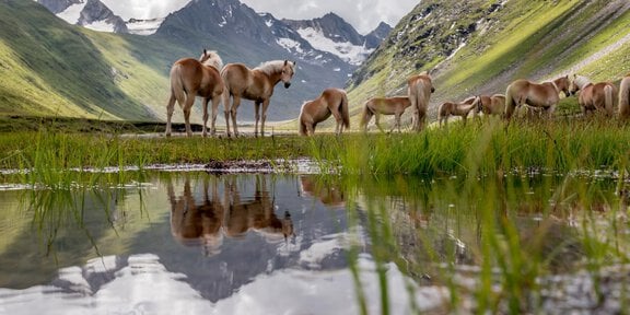 Gletsccher erleben - *Gletscher erleben