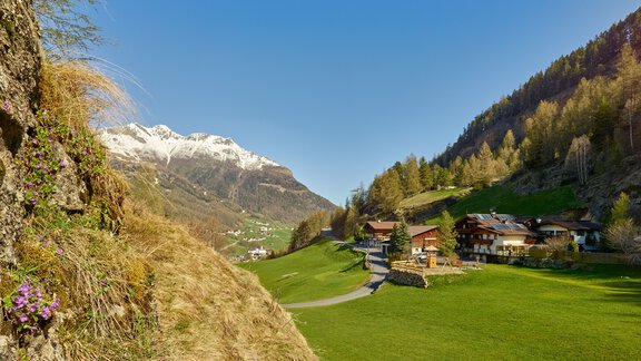 Moosalm summer - Ötztal