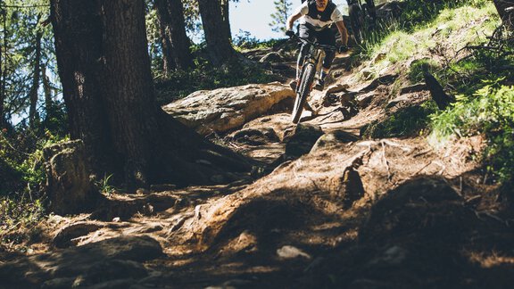 NENE TRAIL - Sebastian Doerk