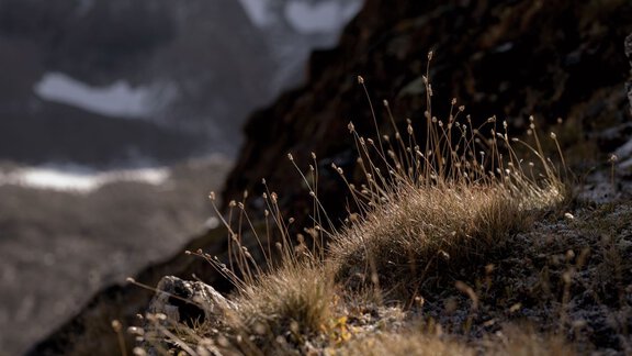 Ötztal
