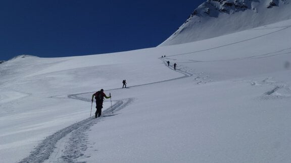 Over the Kleinleiten glacier towards Schalfjoch 3375m - Ötztal