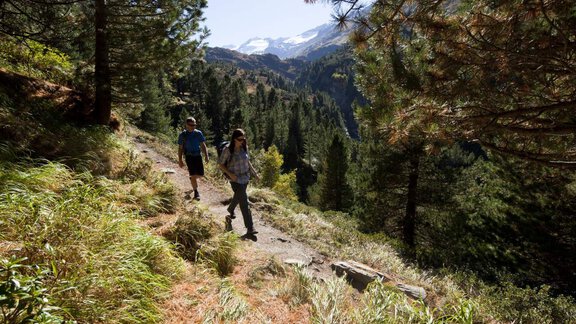 Hike through the stone pine forest - Roland Grüner