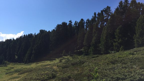 Hike towards Grünwaslekreuz - Nicole Klotz