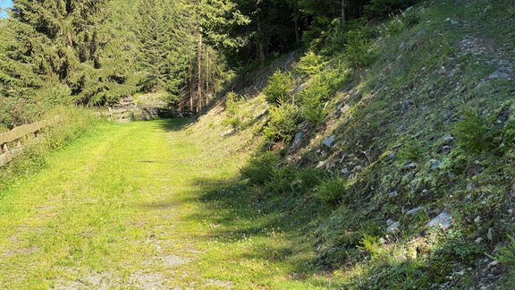Gries Way - Nicole Klotz