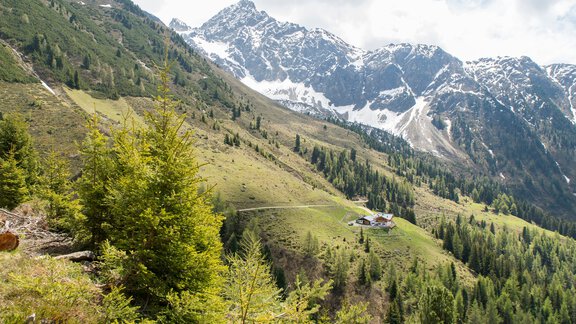 View towards the Acherbergalm Hochoetz - Ötztal Tourismus Büro Oetz