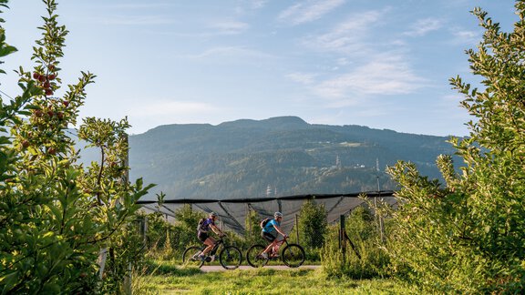 Ötztal Cycle Route Haiming - Ötztal