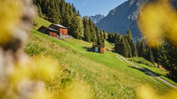 Bergmahderweg summer - Ötztal