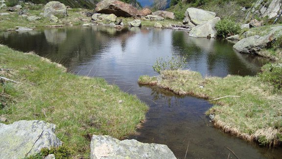 Pond at Feldkögele - Bianca Klotz