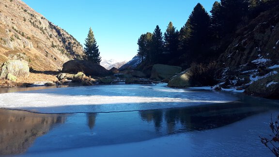 Feldkögele Pond in November - Bianca Klotz