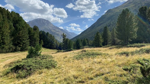 Field section towards Ramolalm - Nicole Klotz