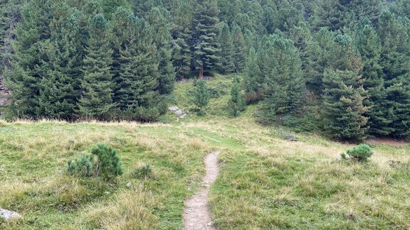 Direction Ramolalm - Nicole Klotz
