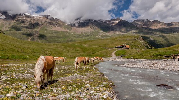Hiking in Gurgl - Hotel Alpenaussicht - Obergurgl 