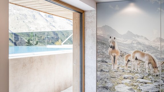 Pool (2) - Hotel Enzian & Appartementhotel Johannes - Obergurgl 