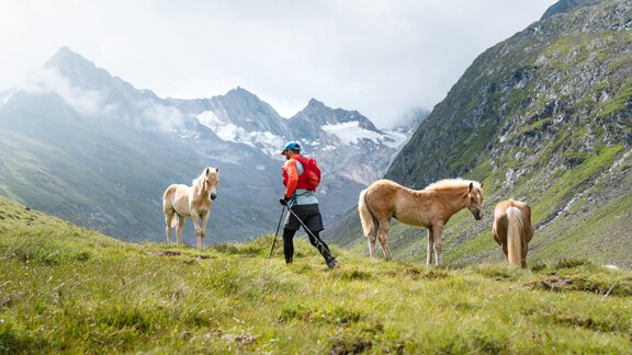 beautiful nature Gurgl - Mountain Lodge Obergurgl - Obergurgl 
