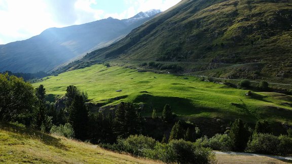 A green meadow surrounded by mountains under a clear sky. The light shines gently over the landscape. - Hotel Vent - Vent