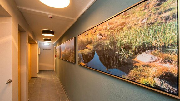 Sauna Bereich - Apartmenthaus Gurglhof - Obergurgl 