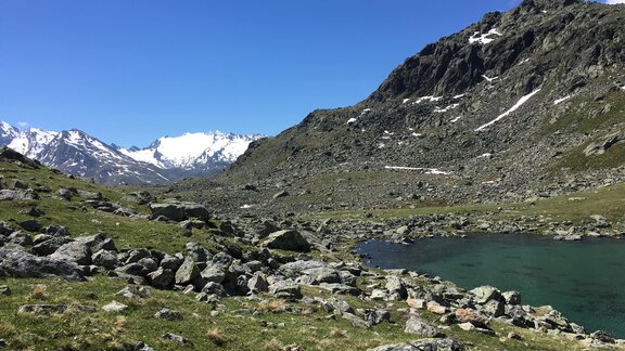 Sommer 2 - Haus Gstrein - Obergurgl 