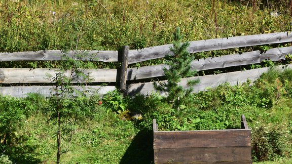 Sommer 2018 (11) - Haus Gstrein - Obergurgl 