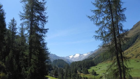 Aussicht Gurgler Ferner - Inka Walter-Greiffenhagen Apartment - Obergurgl 