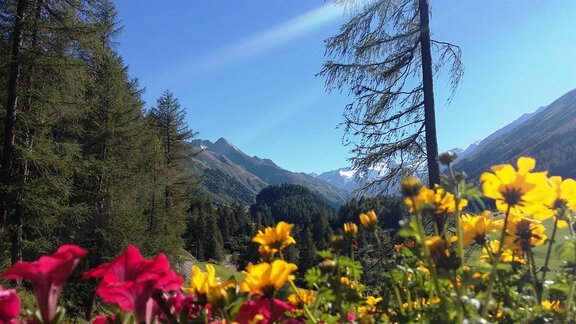 Aussicht Gletscherblick - Inka Walter-Greiffenhagen Apartment - Obergurgl 