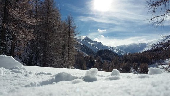 Gletscherblick von der Terrasse - Inka Walter-Greiffenhagen Apartment - Obergurgl 