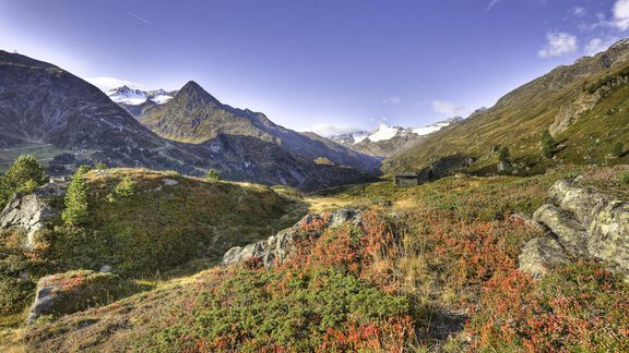Sommer - Universitätszentrum Obergurgl - Obergurgl 