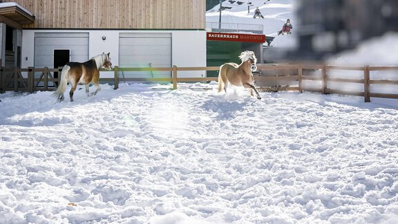 Martinus123 - Landhaus Martinus - Sölden