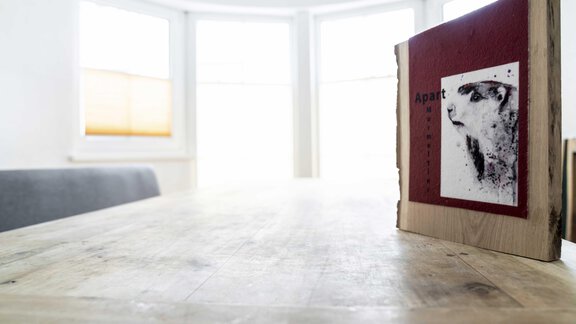 Murmeltier - Landhaus Martinus - Sölden