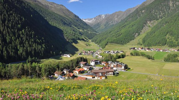 Ein malerisches Tal mit bunten Blumen und einem kleinen Dorf. Umgeben von hohen Bergen und klarem Himmel. - Hotel Tauferberg - Niederthai