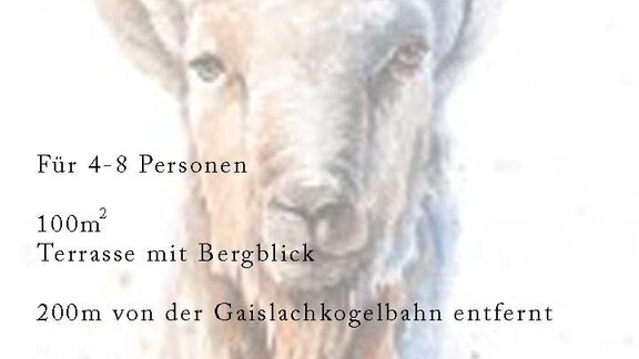 Apartment "Steinbock" - Landhaus Martinus - Sölden